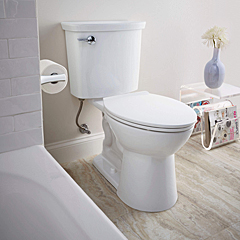 Toilets, Bidets, & Urinals