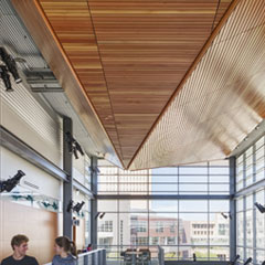 Ceiling Tiles, Acoustical Systems & Suspension Ceilings