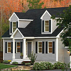 Vinyl Siding