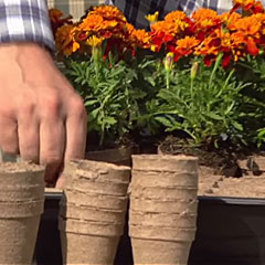 Starting Soils & Pots