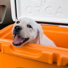 Coolers, Insulated Drinkware, Bottles and Tumblers