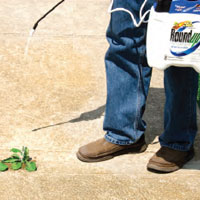 Weed & Grass Control