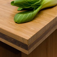 Bamboo Countertops