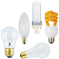 Light Bulbs