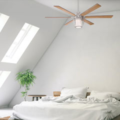 Ceiling Fans