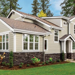 Wolf Portrait Siding