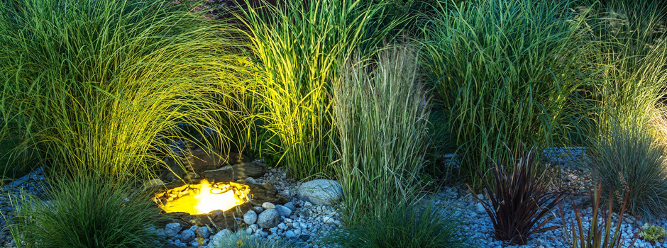 Landscape Lighting